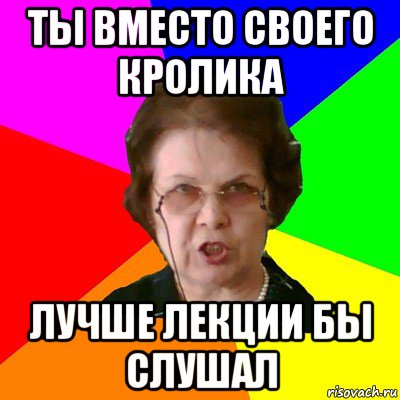 ты вместо своего кролика лучше лекции бы слушал, Мем Типичная училка