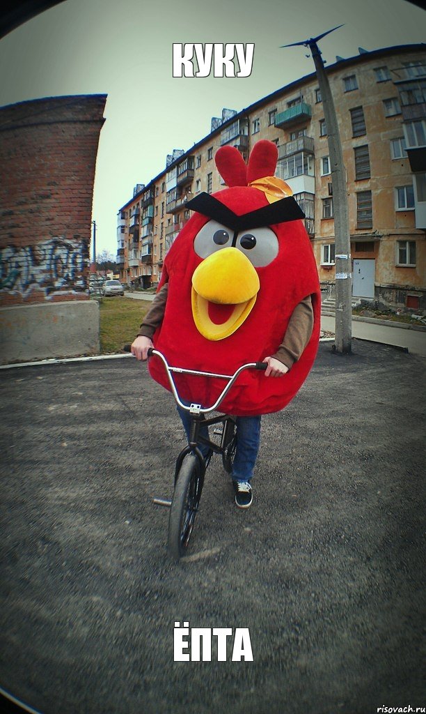 Куку Ёпта, Комикс  Angry bird на велике