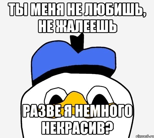 ты меня не любишь, не жалеешь разве я немного некрасив?, Мем Утка