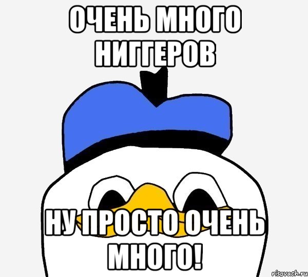 очень много ниггеров ну просто очень много!, Мем Утка