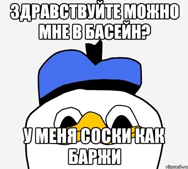 здравствуйте можно мне в басейн? у меня соски как баржи, Мем Утка