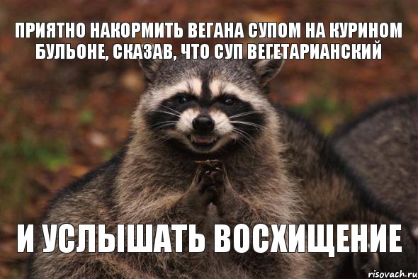 и услышать восхищение Приятно накормить вегана супом на курином бульоне, сказав, что суп вегетарианский