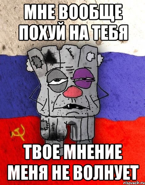 мне вообще похуй на тебя твое мнение меня не волнует, Мем Ватник