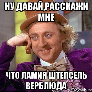 ну давай,расскажи мне что ламия штепсель верблюда, Мем Ну давай расскажи (Вилли Вонка)