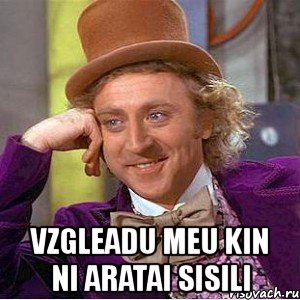  vzgleadu meu kin ni aratai sisili, Мем Ну давай расскажи (Вилли Вонка)
