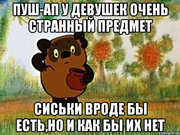 пуш-ап у девушек очень странный предмет сиськи вроде бы есть,но и как бы их нет, Мем Винни пух чешет затылок