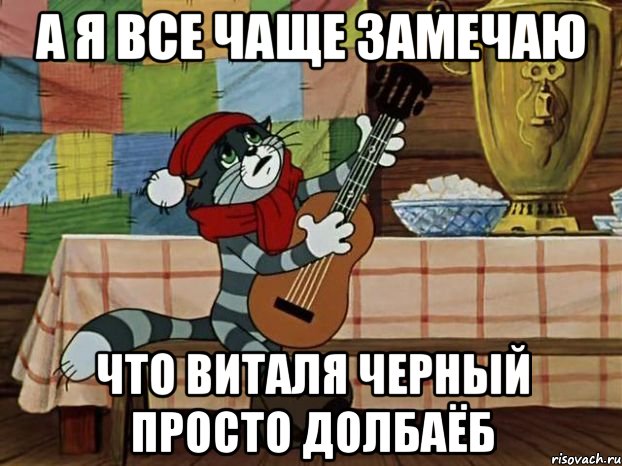 а я все чаще замечаю что виталя черный просто долбаёб, Мем Кот Матроскин с гитарой