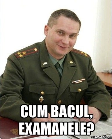  cum bacul, examanele?