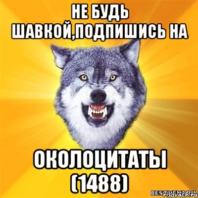 не будь шавкой,подпишись на околоцитаты (1488), Мем Волк