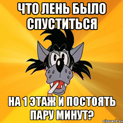 что лень было спуститься на 1 этаж и постоять пару минут?, Мем Волк