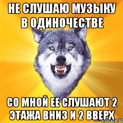 не слушаю музыку в одиночестве со мной ее слушают 2 этажа вниз и 2 вверх