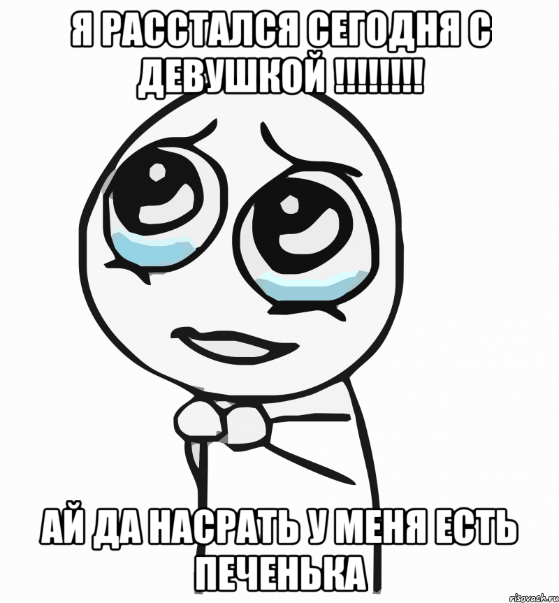 я расстался сегодня с девушкой !!! ай да насрать у меня есть печенька, Мем  ну пожалуйста (please)