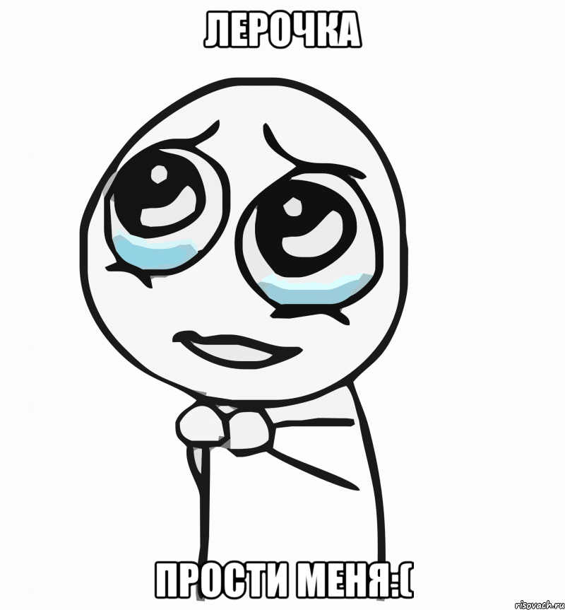 лерочка прости меня:(, Мем  ну пожалуйста (please)