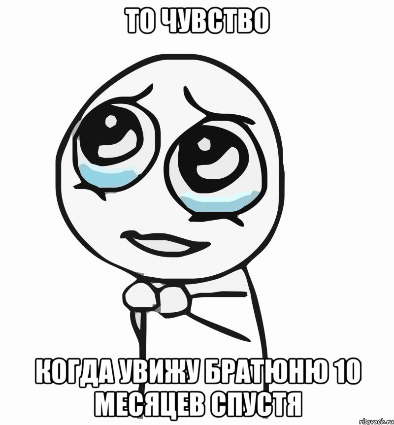 то чувство когда увижу братюню 10 месяцев спустя, Мем  ну пожалуйста (please)