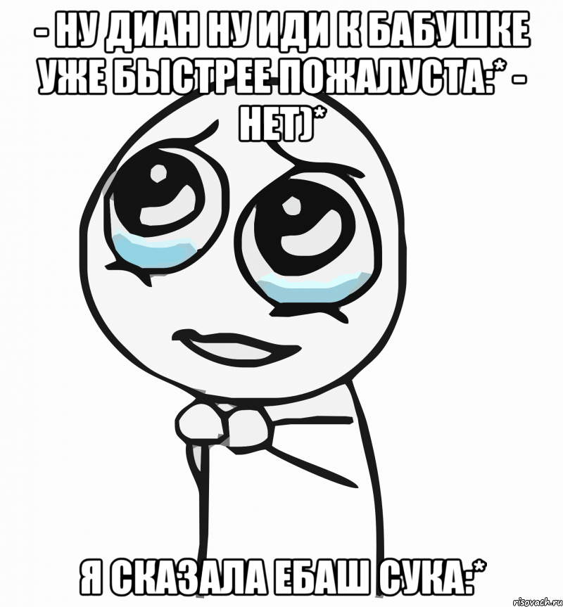 - ну диан ну иди к бабушке уже быстрее пожалуста:* - нет)* я сказала ебаш сука:*, Мем  ну пожалуйста (please)