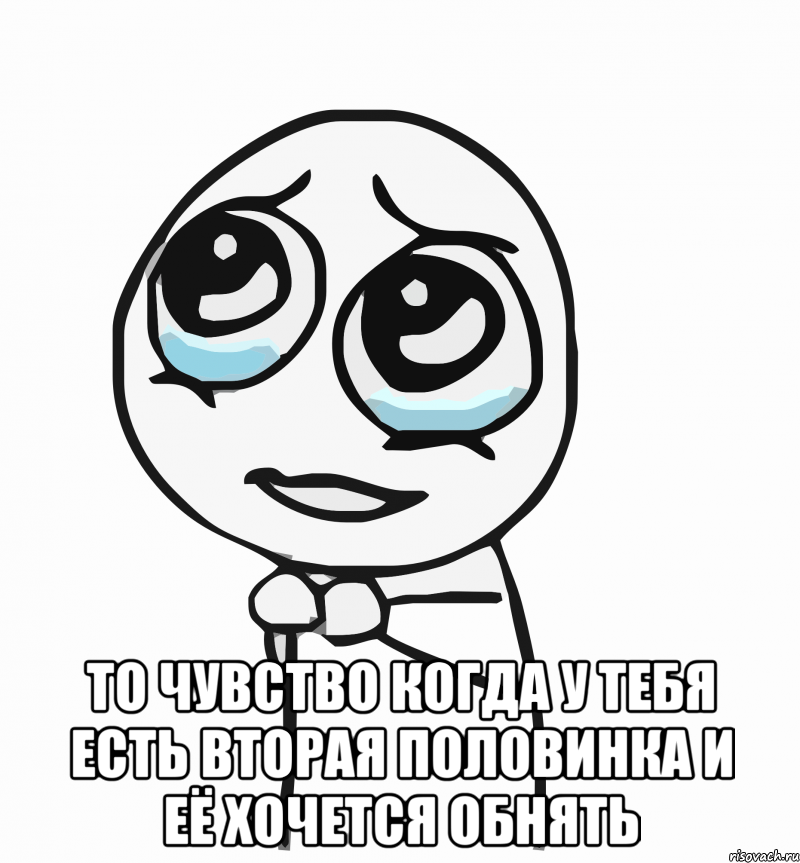  то чувство когда у тебя есть вторая половинка и её хочется обнять, Мем  ну пожалуйста (please)