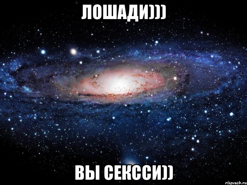 лошади))) вы сексси)), Мем Вселенная