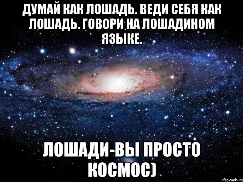 думай как лошадь. веди себя как лошадь. говори на лошадином языке. лошади-вы просто космос), Мем Вселенная