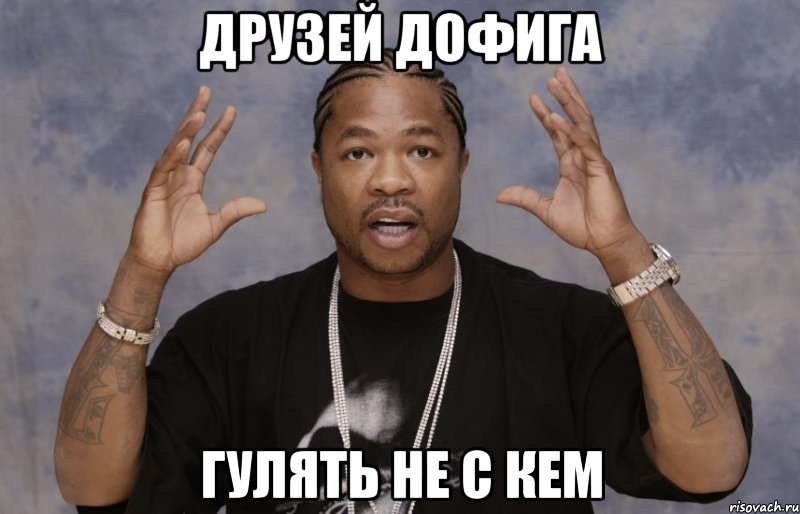 друзей дофига гулять не с кем, Мем Xzibit