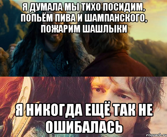 я думала мы тихо посидим, попьём пива и шампанского, пожарим шашлыки я никогда ещё так не ошибалась, Комикс Я никогда еще так не ошибался