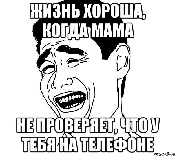 жизнь хороша, когда мама не проверяет, что у тебя на телефоне, Мем Яо минг