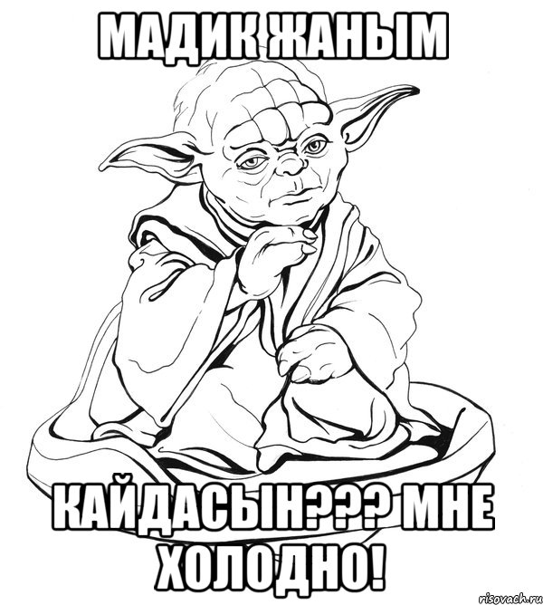 мадик жаным кайдасын??? мне холодно!, Мем Мастер Йода