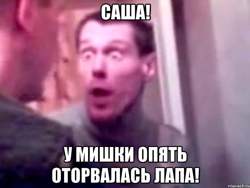 саша! у мишки опять оторвалась лапа!, Мем Запили