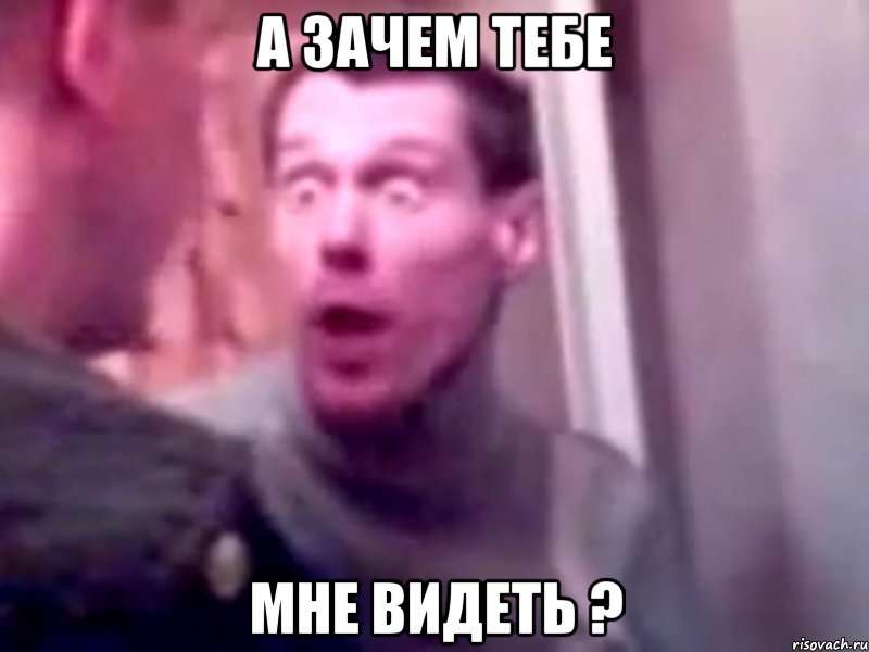 а зачем тебе мне видеть ?, Мем Запили