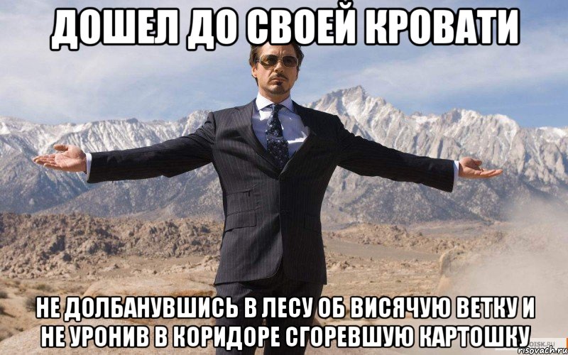 дошел до своей кровати не долбанувшись в лесу об висячую ветку и не уронив в коридоре сгоревшую картошку, Мем железный человек