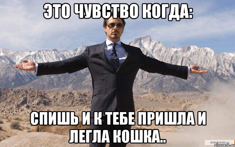 это чувство когда: спишь и к тебе пришла и легла кошка.., Мем железный человек