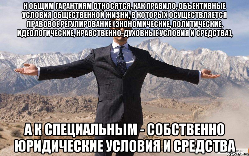 к общим гарантиям относятся, как правило, объективные условия общественной жизни, в которых осуществляется правовое регулирование (экономические, политические, идеологические, нравственно-духовные условия и средства), а к специальным - собственно юридические условия и средства, Мем железный человек