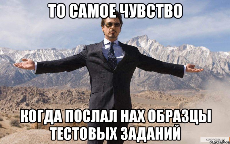 то самое чувство когда послал нах образцы тестовых заданий, Мем железный человек