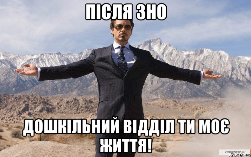 після зно дошкільний відділ ти моє життя!, Мем железный человек