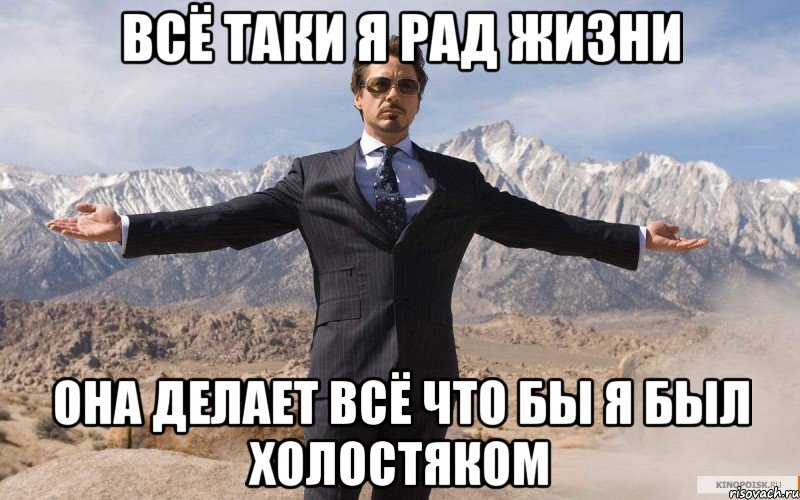 всё таки я рад жизни она делает всё что бы я был холостяком, Мем железный человек