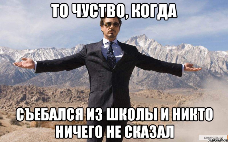 то чуство, когда съебался из школы и никто ничего не сказал, Мем железный человек