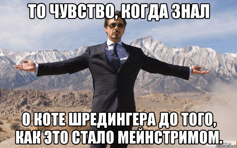 то чувство, когда знал о коте шредингера до того, как это стало мейнстримом., Мем железный человек