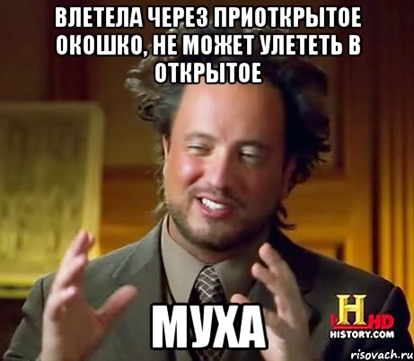 влетела через приоткрытое окошко, не может улететь в открытое муха, Мем Женщины (aliens)