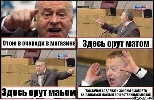 Стою в очереди в магазине Здесь орут матом Здесь орут маьом Так зачем создавать законы о запрете выражаться матом в общественных местах, Комикс жиреновский