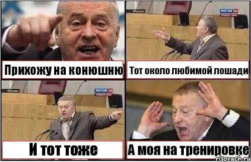 Прихожу на конюшню Тот около любимой лошади И тот тоже А моя на тренировке, Комикс жиреновский