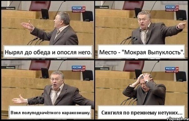 Нырял до обеда и опосля него. Место - "Мокрая Выпуклость". Взял полуподзачётного каракозишку. Сингиля по прежнему нетуних..., Комикс Жирик в шоке хватается за голову