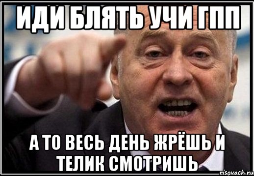 иди блять учи гпп а то весь день жрёшь и телик смотришь, Мем жириновский ты