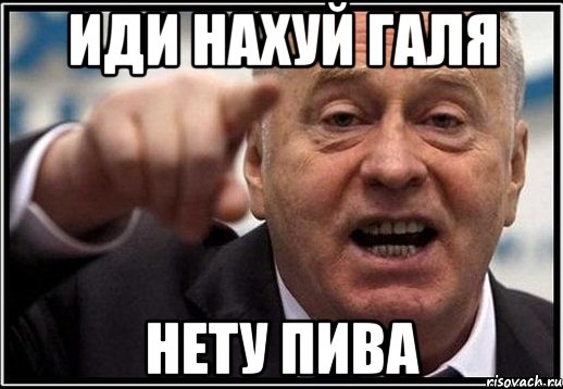 иди нахуй галя нету пива, Мем жириновский ты