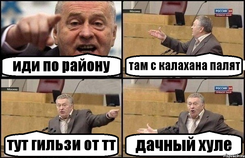 иди по району там с калахана палят тут гильзи от тт дачный хуле, Комикс Жириновский