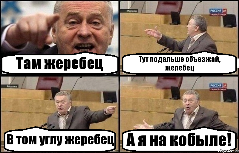 Там жеребец Тут подальше объезжай, жеребец В том углу жеребец А я на кобыле!, Комикс Жириновский