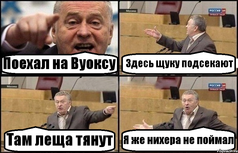 Поехал на Вуоксу Здесь щуку подсекают Там леща тянут Я же нихера не поймал, Комикс Жириновский