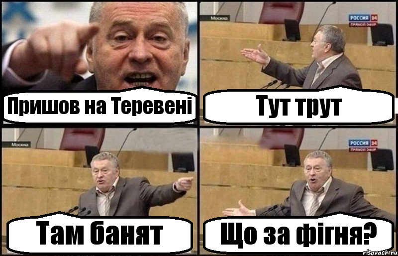 Пришов на Теревені Тут трут Там банят Що за фігня?, Комикс Жириновский