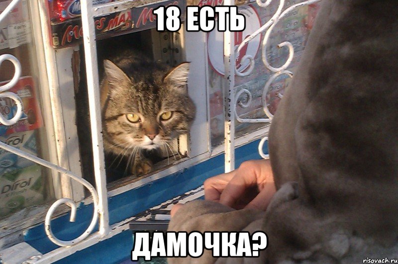 18 есть дамочка?, Мем 18 есть пидрила ебаная