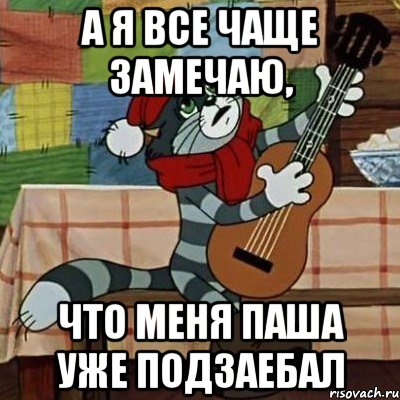 а я все чаще замечаю, что меня паша уже подзаебал, Мем Кот Матроскин с гитарой