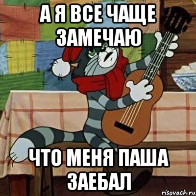 а я все чаще замечаю что меня паша заебал, Мем Кот Матроскин с гитарой