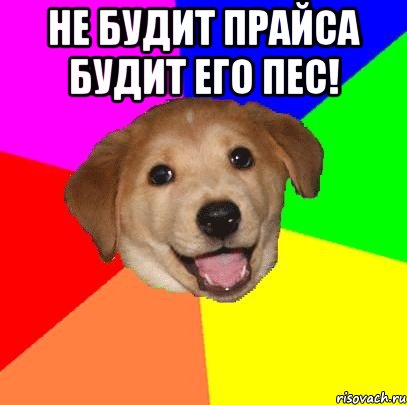 не будит прайса будит его пес! , Мем Advice Dog